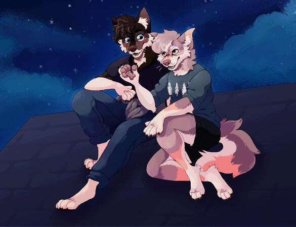 Late Night Conversations